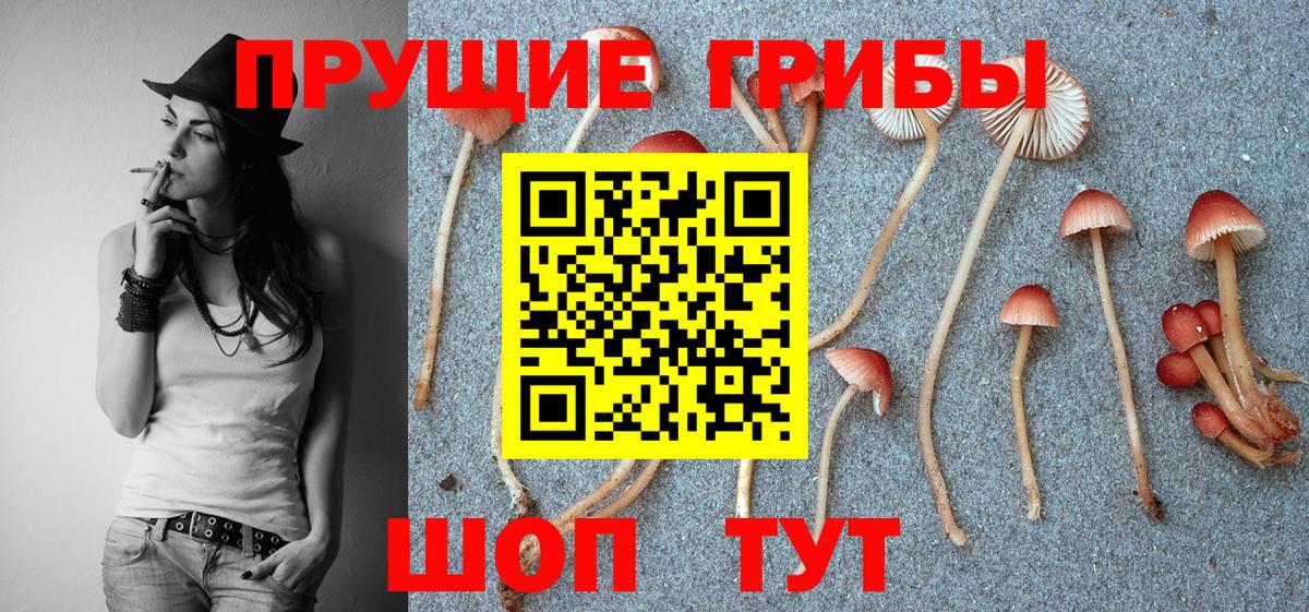 Галлюциногенные грибы Magic Shrooms Уварово