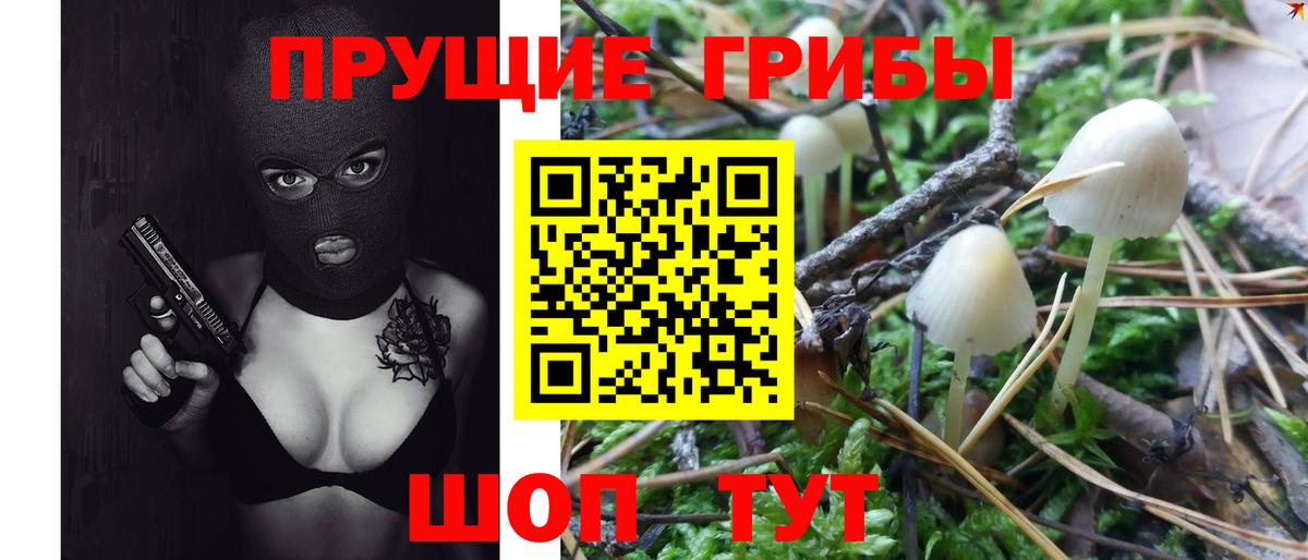 Псилоцибиновые грибы GOLDEN TEACHER  Галлюциногенные грибы ЛСД  Вход с VPN  где продают наркотики  Уварово 